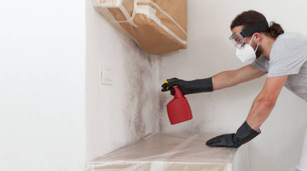 Professional Basement Mold Remediation technician working in Roosevelt, NY